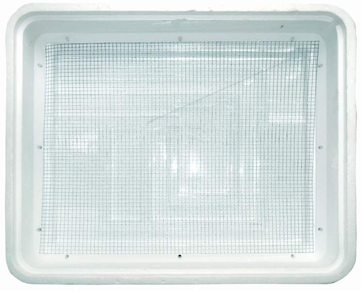 DRAGON PREMIUM INCUBATOR